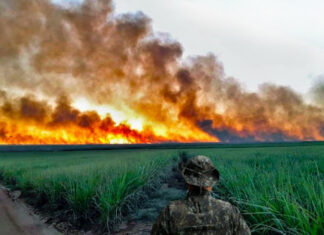 Polícia Ambiental e MP fazem operação contra queimadas em Rio Claro Polícia Ambiental e MP fazem operação contra queimadas em Rio Claro