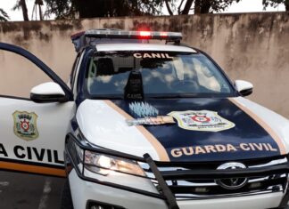 Canil da GCM detém menor por tráfico de drogas no Jd. Araucária Canil da GCM detém menor por tráfico de drogas no Jd. Araucária