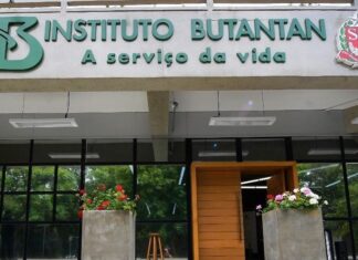 Butantan estuda a criação de uma vacina única contra a gripe e a Covid-19 Butantan estuda a criação de uma vacina única contra a gripe e a COVID-19