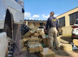Polícia Rodoviária Federal e Polícia Federal apreendem caminhão de maconha em Itirapina Polícia Rodoviária Federal e Polícia Federal apreendem caminhão de maconha em Itirapina