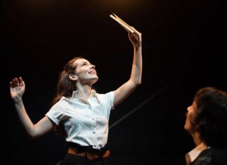 Teatro #EmCasaComSesc apresenta “A Catástrofe do Sucesso” Teatro #EmCasaComSesc apresenta “A Catástrofe do Sucesso"