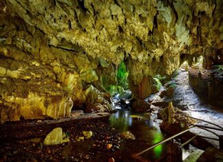 Feriado estadual e vacinas impactam as viagens Feriado estadual e vacinas impactam as viagens