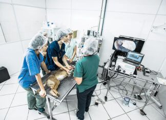 Santa Bárbara d’Oeste anuncia hospital veterinário da rede Meu Pet do Governo de SP Santa Bárbara d’Oeste anuncia Hospital Veterinário da rede Meu Pet do governo de SP