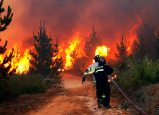 Incêndiocracia quais os determinantes e condicionantes que deveriam pautar o planejamento das políticas públicas de saúde?