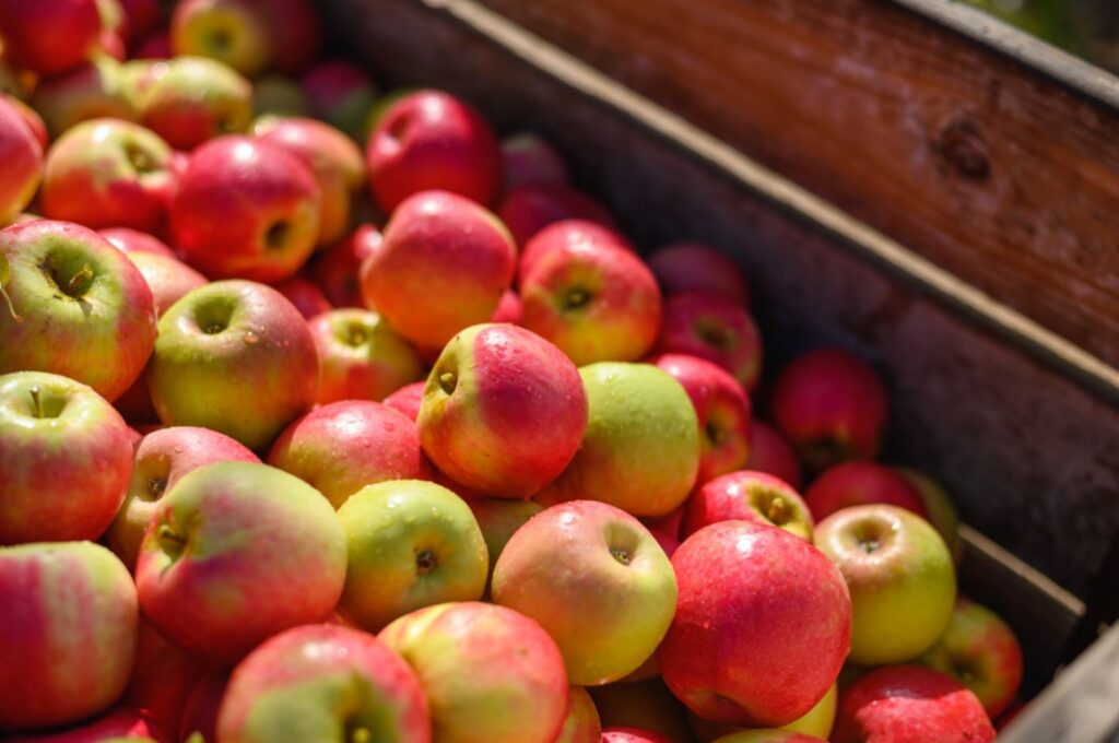 Sete frutas de inverno e seus benefícios para a saúde