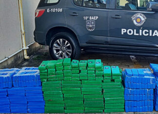 Maconha: quase 800 tijolos são apreendidos pela PM em rodovia da região Maconha: quase 800 tijolos são apreendidos pela PM em rodovia da região