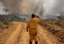 Defesa Civil alerta para risco de incêndio em razão das altas temperaturas Defesa Civil alerta para risco de incêndio em razão das altas temperaturas