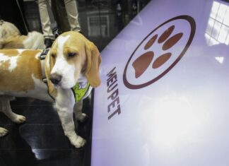 Governo de SP anuncia mais oito clínicas veterinárias do programa Meu Pet no interior e litoral, Rio Claro está fora Governo de SP anuncia mais oito clínicas veterinárias do programa Meu Pet no interior e litoral, Rio Claro está fora