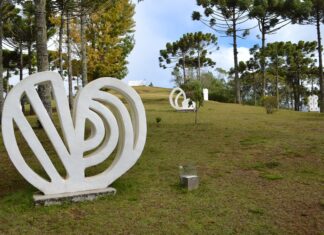 Museu e Auditório têm atividades em honra ao Dia dos Pais Museu e Auditório têm atividades em homenagem Dia dos Pais