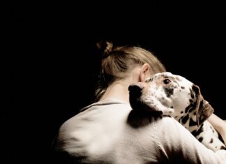 Animais de estimação te ajudam a melhorar a saúde mental Animais de estimação te ajudam a melhorar a saúde mental