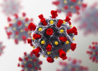 São Paulo tem 402 cidades sem óbitos por Covid-19 na última semana São Paulo tem 402 cidades sem óbitos por Covid-19 na última semana