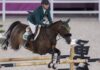 Brasil vai à final do salto por equipes no hipismo em Tóquio Brasil já tem 4 medalhas garantidas neste final de semana
