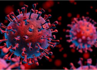 Covid: Rio Claro já acumula 830 novos casos e 5 mortes em julho Covid: Rio Claro já acumula 803 novos casos e 5 mortes em julho