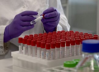 Estudo busca vacina para bloquear o coronavírus ainda no nariz Estudo busca vacina para bloquear o coronavírus ainda no nariz