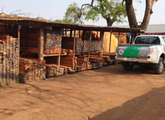 Madeireira de vice-prefeito é multada durante operação da Polícia Ambiental Madeireira de vice-prefeito é multada durante opração da Polícia Ambiental
