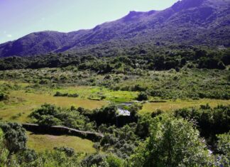 As virtudes da Rota Gourmet das Terras Altas da Mantiqueira As virtudes da Rota Gourmet das Terras Altas da Mantiqueira