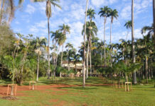 Moradores e frequentadores questionam intervenções na Feena Feena aponta o caminho para Rio Claro estimular o Turismo