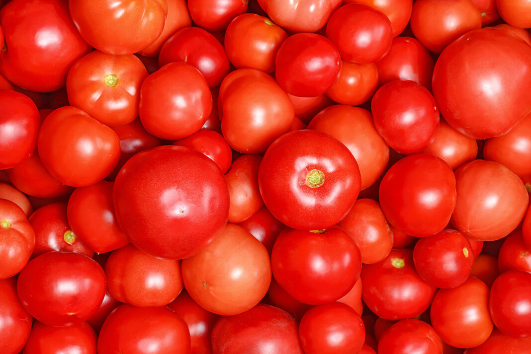 Três máscaras de tomate para obter uma pele brilhante