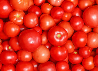 Três máscaras faciais de tomate para obter uma pele brilhante Três máscaras de tomate para obter uma pele brilhante