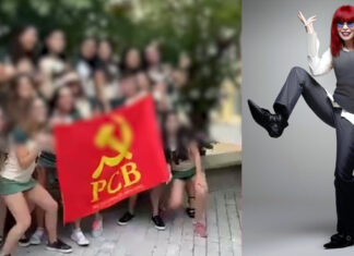 A bandeira, o gado bolsopetista e a lição de Rita Lee A bandeira, o gado bolsopetista e a lição de Rita Lee