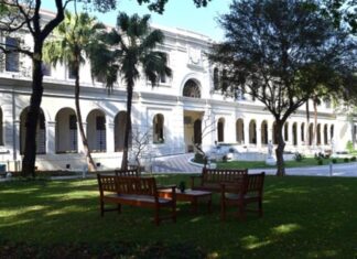 Museu da Imigração oferece debates e oficinas online Museu da Imigração oferece debates e oficinas online