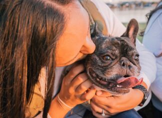 Confira três signos do zodíaco que são amantes dos animais Confira três signos do zodíaco que são amantes dos animais