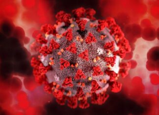 Limeira tem confirmação para ômicron e põe região em alerta Limeira tem confirmação para ômicron e põe região em alerta