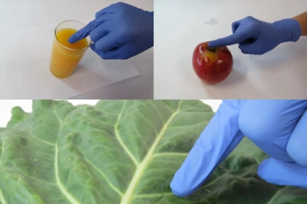 Cientistas criam luva que detecta pesticidas em alimentos