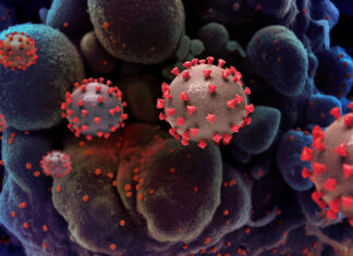 Rio Claro tem mais duas mortes por Covid e soma nove em junho Rio Claro tem mais duas mortes por Covid e soma nove em junho
