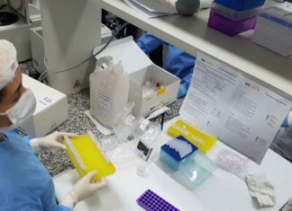 UFMG procura voluntários para estudo contra a Covid-19 UFMG procura voluntários para estudo contra a Covid-19