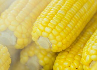 Festa do Milho oferece deliciosos quitutes neste sábado na Central do Agronegócio Festa do Milho oferece deliciosos quitutes neste sábado em Rio Claro.