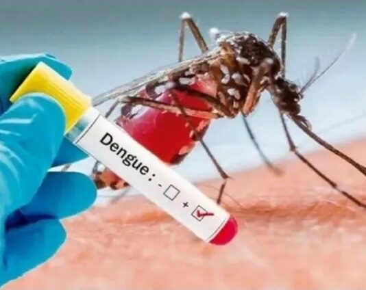 Por que número de mortos por dengue em Rio Claro é maior? Por que número de mortos por dengue em Rio Claro é maior?